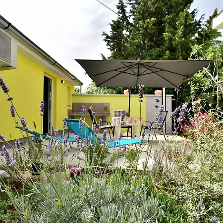 Cozy Garden Apartment